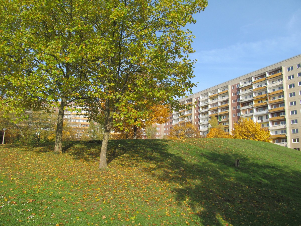 Grünau & die Platte